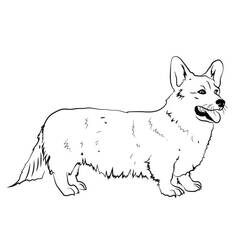 Corgi (Animals) coloring page #220785 to print and color