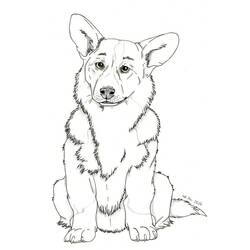 Corgi (Animals) coloring page #220787 to print and color