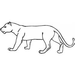 Coloring page: Cougar (Animals) #4404 - Printable coloring pages