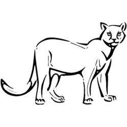 Coloring page: Cougar (Animals) #4441 - Printable coloring pages