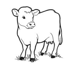 Coloring page: Cow (Animals) #13189 - Printable coloring pages