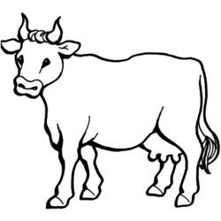 Coloring page: Cow (Animals) #13195 - Printable coloring pages