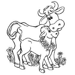 Coloring page: Cow (Animals) #13221 - Free Printable Coloring Pages