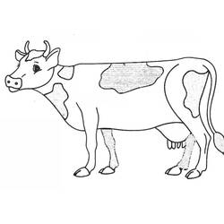 Coloring page: Cow (Animals) #13227 - Printable coloring pages