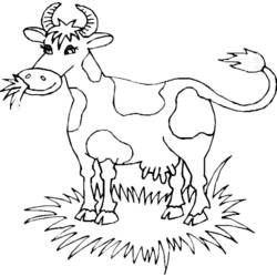 Coloring page: Cow (Animals) #13233 - Free Printable Coloring Pages