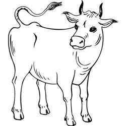 Coloring page: Cow (Animals) #13248 - Printable coloring pages