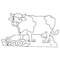 Coloring page: Cow (Animals) #13252 - Free Printable Coloring Pages