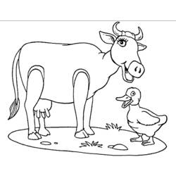 Coloring page: Cow (Animals) #13258 - Free Printable Coloring Pages