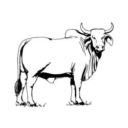 Coloring page: Cow (Animals) #13260 - Free Printable Coloring Pages