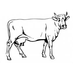 Coloring page: Cow (Animals) #13261 - Printable coloring pages