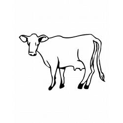Coloring page: Cow (Animals) #13274 - Free Printable Coloring Pages
