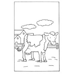 Coloring page: Cow (Animals) #13310 - Free Printable Coloring Pages