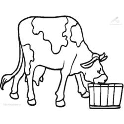 Coloring page: Cow (Animals) #13352 - Free Printable Coloring Pages