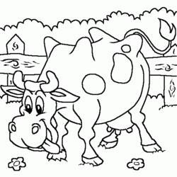 Coloring page: Cow (Animals) #13363 - Free Printable Coloring Pages