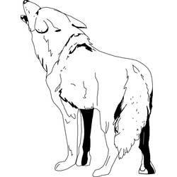 Coyote (Animals) coloring page #207092 to print and color