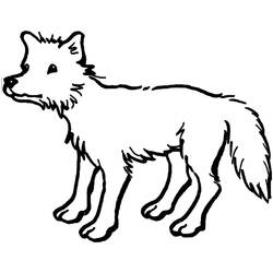 Coyote (Animals) coloring page #207108 to print and color