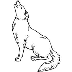 Coloring pages: Coyote - Free Printable Coloring Pages