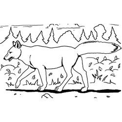 Coloring page: Coyote (Animals) #4498 - Free Printable Coloring Pages