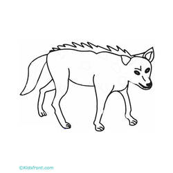 Coloring page: Coyote (Animals) #4513 - Printable coloring pages