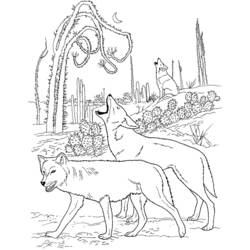 Coloring page: Coyote (Animals) #4550 - Printable coloring pages