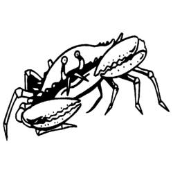 Coloring page: Crab (Animals) #4602 - Free Printable Coloring Pages