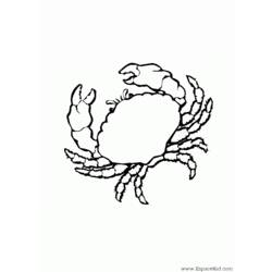 Coloring page: Crab (Animals) #4605 - Free Printable Coloring Pages