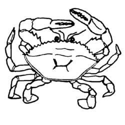 Coloring page: Crab (Animals) #4611 - Free Printable Coloring Pages
