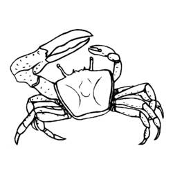 Coloring page: Crab (Animals) #4613 - Free Printable Coloring Pages