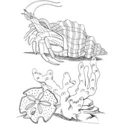 Coloring page: Crab (Animals) #4616 - Free Printable Coloring Pages