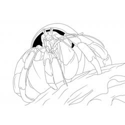 Coloring page: Crab (Animals) #4623 - Free Printable Coloring Pages