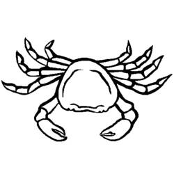 Coloring page: Crab (Animals) #4639 - Free Printable Coloring Pages