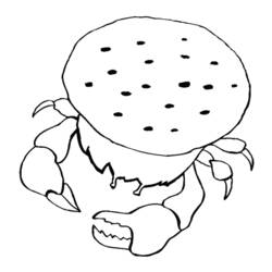 Coloring page: Crab (Animals) #4655 - Free Printable Coloring Pages