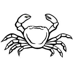 Coloring page: Crab (Animals) #4657 - Printable coloring pages