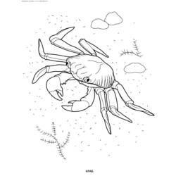 Coloring page: Crab (Animals) #4659 - Free Printable Coloring Pages