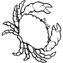 Coloring page: Crab (Animals) #4670 - Free Printable Coloring Pages