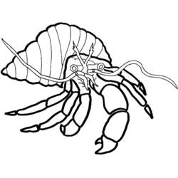 Coloring page: Crab (Animals) #4673 - Free Printable Coloring Pages