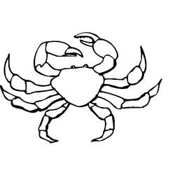 Coloring page: Crab (Animals) #4691 - Printable coloring pages