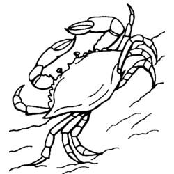 Coloring page: Crab (Animals) #4717 - Free Printable Coloring Pages