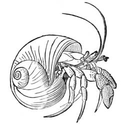 Coloring page: Crab (Animals) #4746 - Printable coloring pages