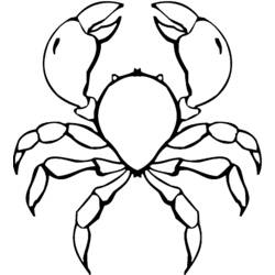 Coloring page: Crab (Animals) #4754 - Free Printable Coloring Pages