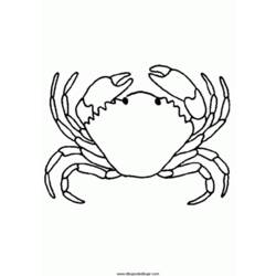 Coloring page: Crab (Animals) #4759 - Printable coloring pages