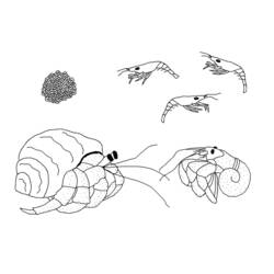 Coloring page: Crab (Animals) #4765 - Free Printable Coloring Pages