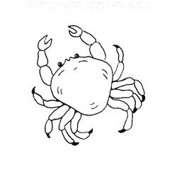 Coloring page: Crab (Animals) #4777 - Free Printable Coloring Pages
