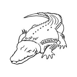 Crocodile (Animals) coloring page #179013 to print and color