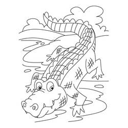 Crocodile (Animals) coloring page #179016 to print and color
