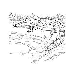 Crocodile (Animals) coloring page #179020 to print and color