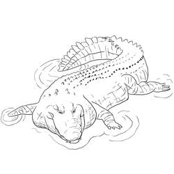Crocodile (Animals) coloring page #217072 to print and color