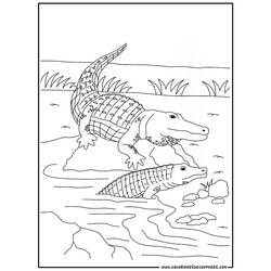 Coloring page: Crocodile (Animals) #4794 - Free Printable Coloring Pages