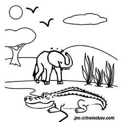 Coloring page: Crocodile (Animals) #4796 - Printable coloring pages