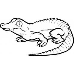 Coloring page: Crocodile (Animals) #4812 - Printable coloring pages